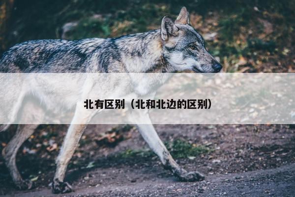 北有区别（北和北边的区别）