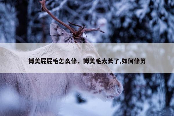 博美屁屁毛怎么修，博美毛太长了,如何修剪