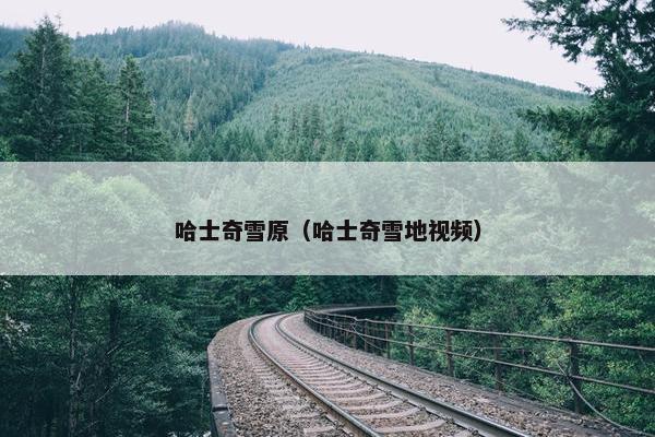 哈士奇雪原（哈士奇雪地视频）