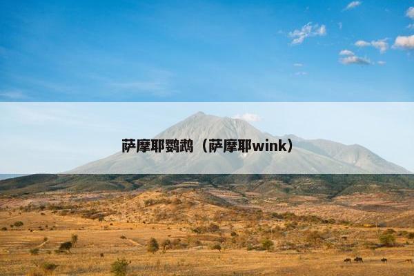 萨摩耶鹦鹉（萨摩耶wink）
