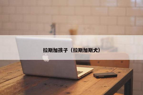 拉斯加孩子（拉斯加斯犬）