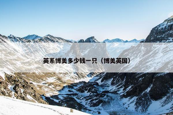 英系博美多少钱一只（博美英国）