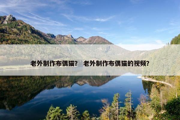 老外制作布偶猫？ 老外制作布偶猫的视频？