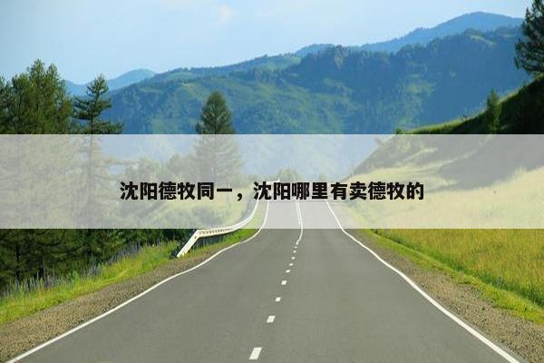 沈阳德牧同一，沈阳哪里有卖德牧的