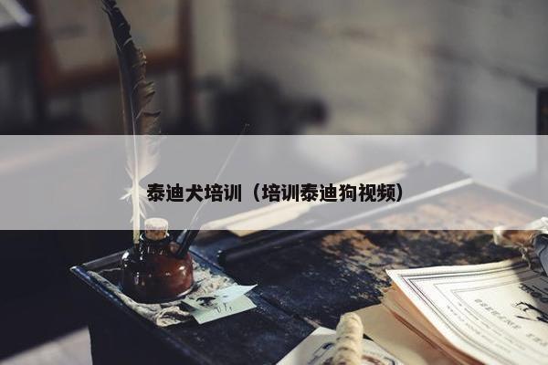 泰迪犬培训（培训泰迪狗视频）