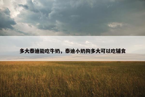 多大泰迪能吃牛奶，泰迪小奶狗多大可以吃辅食