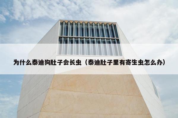 为什么泰迪狗肚子会长虫（泰迪肚子里有寄生虫怎么办）