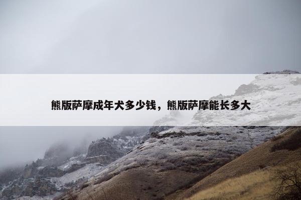 熊版萨摩成年犬多少钱，熊版萨摩能长多大