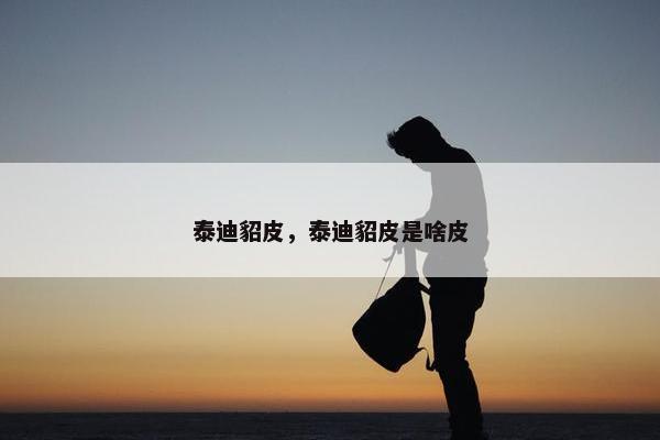 泰迪貂皮，泰迪貂皮是啥皮