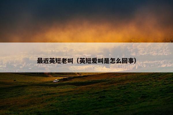 最近英短老叫（英短爱叫是怎么回事）