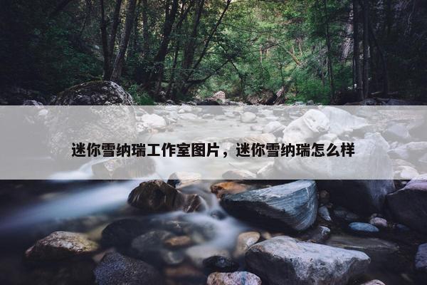 迷你雪纳瑞工作室图片，迷你雪纳瑞怎么样