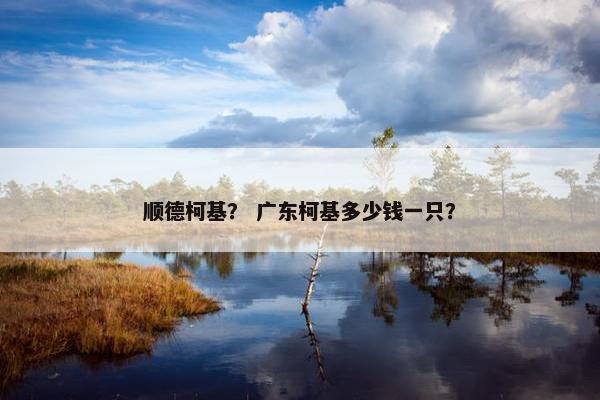 顺德柯基？ 广东柯基多少钱一只？