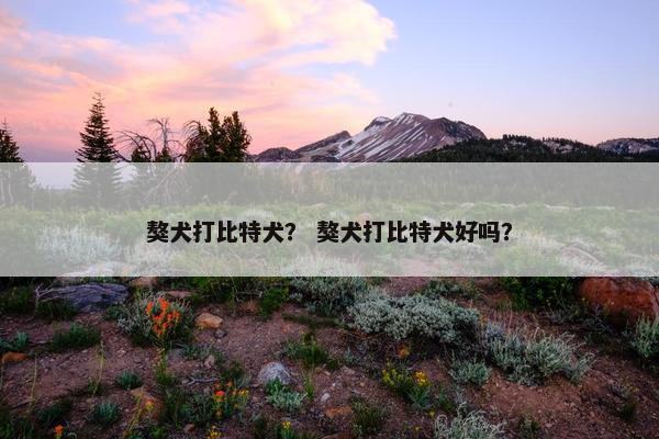 獒犬打比特犬？ 獒犬打比特犬好吗？