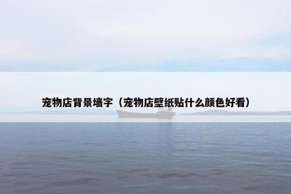 宠物店背景墙字（宠物店壁纸贴什么颜色好看）