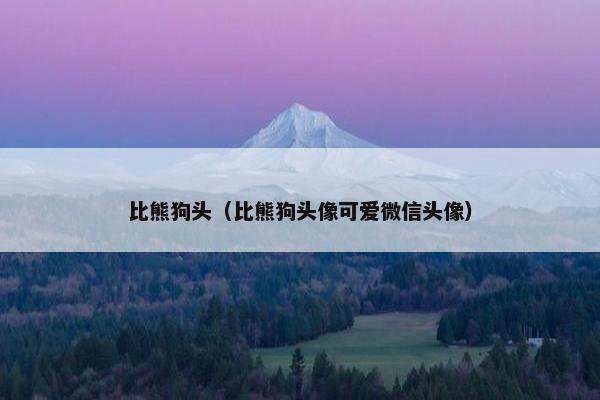 比熊狗头（比熊狗头像可爱微信头像）