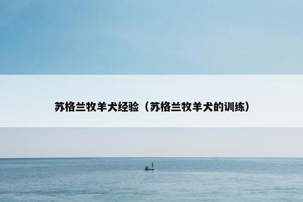苏格兰牧羊犬经验（苏格兰牧羊犬的训练）