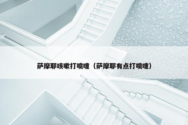萨摩耶咳嗽打喷嚏（萨摩耶有点打喷嚏）