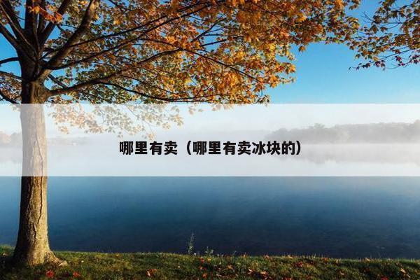 哪里有卖（哪里有卖冰块的）