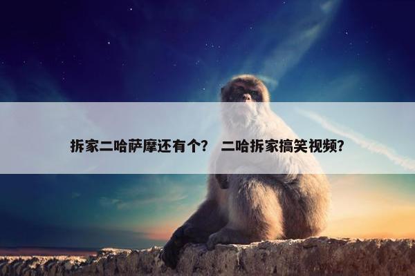 拆家二哈萨摩还有个？ 二哈拆家搞笑视频？