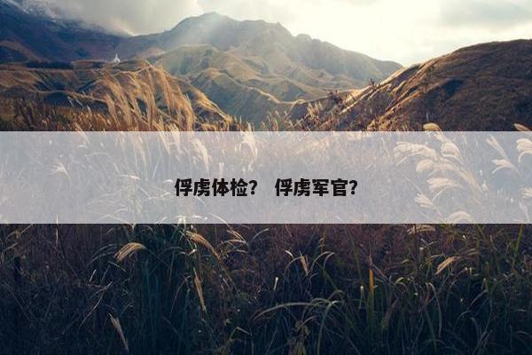 俘虏体检？ 俘虏军官？