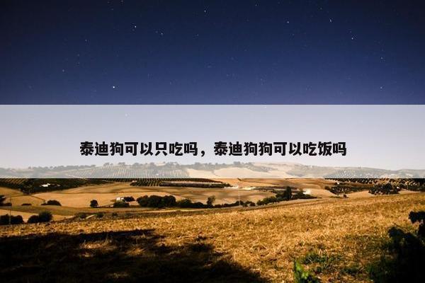 泰迪狗可以只吃吗，泰迪狗狗可以吃饭吗
