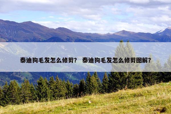 泰迪狗毛发怎么修剪？ 泰迪狗毛发怎么修剪图解？