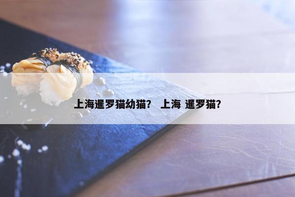 上海暹罗猫幼猫？ 上海 暹罗猫？