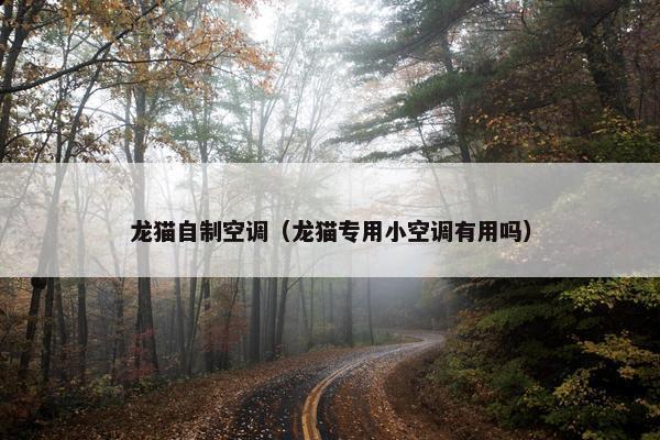龙猫自制空调（龙猫专用小空调有用吗）