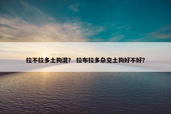 拉不拉多土狗混？ 拉布拉多杂交土狗好不好？
