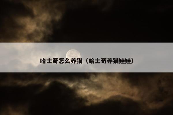 哈士奇怎么养猫（哈士奇养猫娃娃）