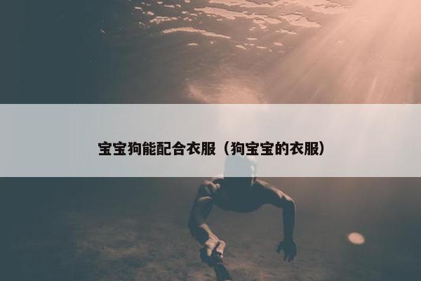 宝宝狗能配合衣服（狗宝宝的衣服）