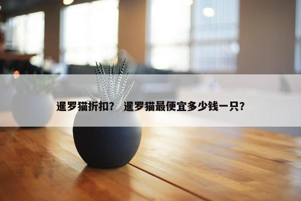 暹罗猫折扣？ 暹罗猫最便宜多少钱一只？