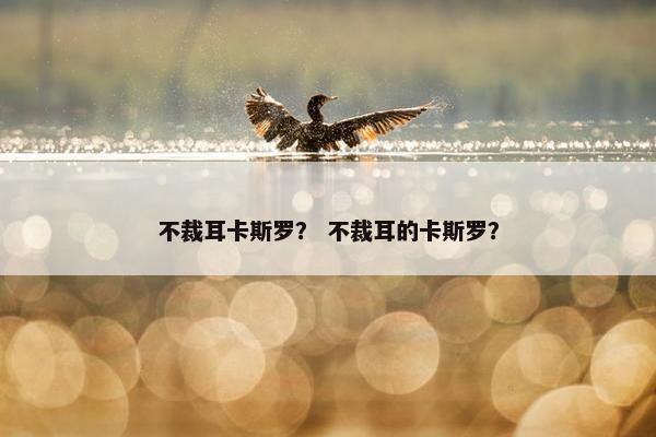 不裁耳卡斯罗？ 不裁耳的卡斯罗？