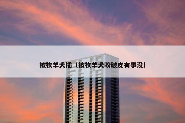 被牧羊犬插（被牧羊犬咬破皮有事没）