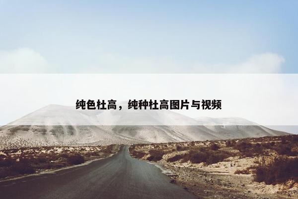 纯色杜高，纯种杜高图片与视频