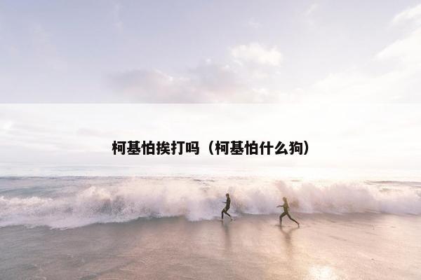 柯基怕挨打吗（柯基怕什么狗）