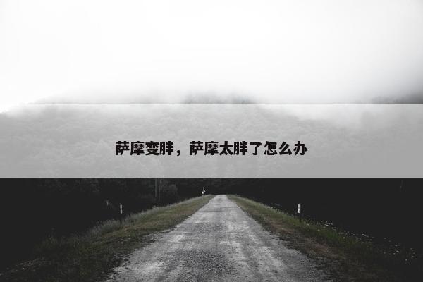 萨摩变胖，萨摩太胖了怎么办