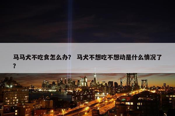 马马犬不吃食怎么办？ 马犬不想吃不想动是什么情况了？