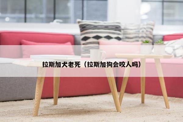 拉斯加犬老死（拉斯加狗会咬人吗）