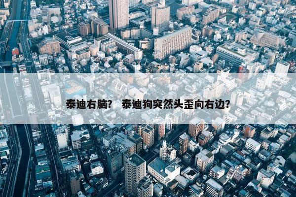 泰迪右脑？ 泰迪狗突然头歪向右边？