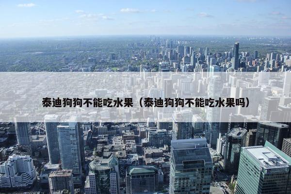 泰迪狗狗不能吃水果（泰迪狗狗不能吃水果吗）