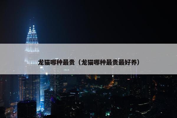 龙猫哪种最贵（龙猫哪种最贵最好养）