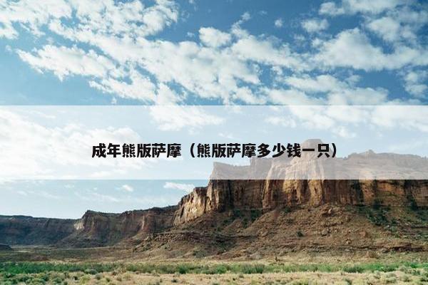 成年熊版萨摩（熊版萨摩多少钱一只）
