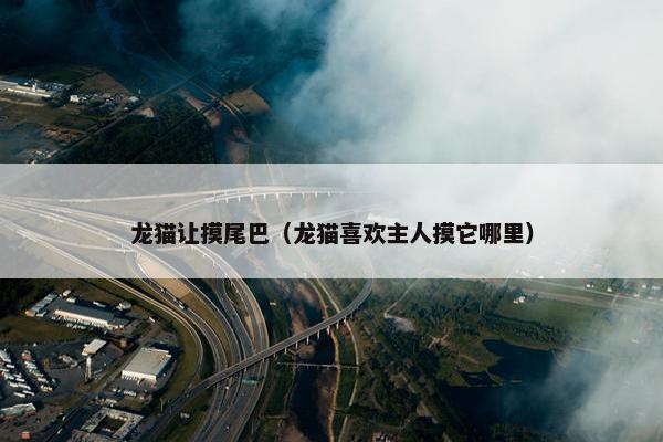 龙猫让摸尾巴（龙猫喜欢主人摸它哪里）
