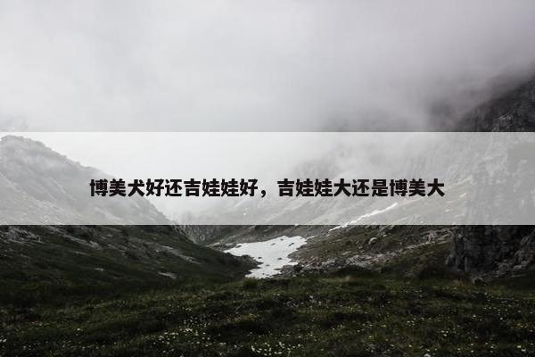 博美犬好还吉娃娃好，吉娃娃大还是博美大