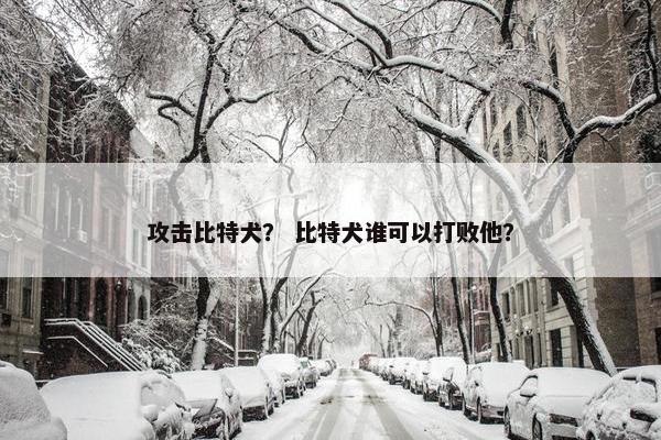 攻击比特犬？ 比特犬谁可以打败他？