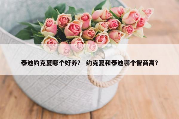 泰迪约克夏哪个好养？ 约克夏和泰迪哪个智商高？