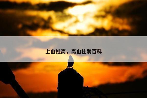 上山杜高，高山杜鹃百科