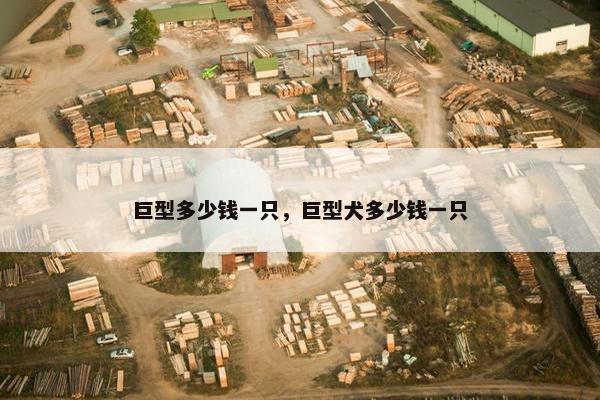 巨型多少钱一只，巨型犬多少钱一只