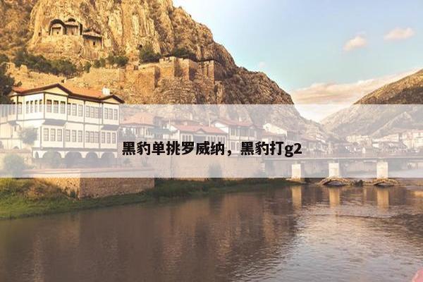 黑豹单挑罗威纳，黑豹打g2
